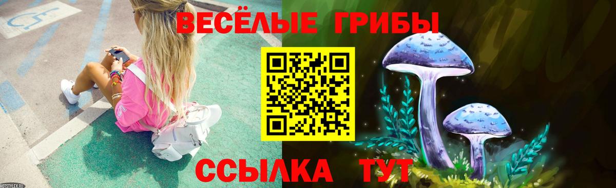 Галлюциногенные грибы GOLDEN TEACHER Новороссийск